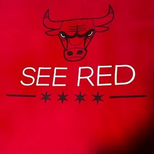Chicago Bulls Red Graphic Tee - Short Sleeve